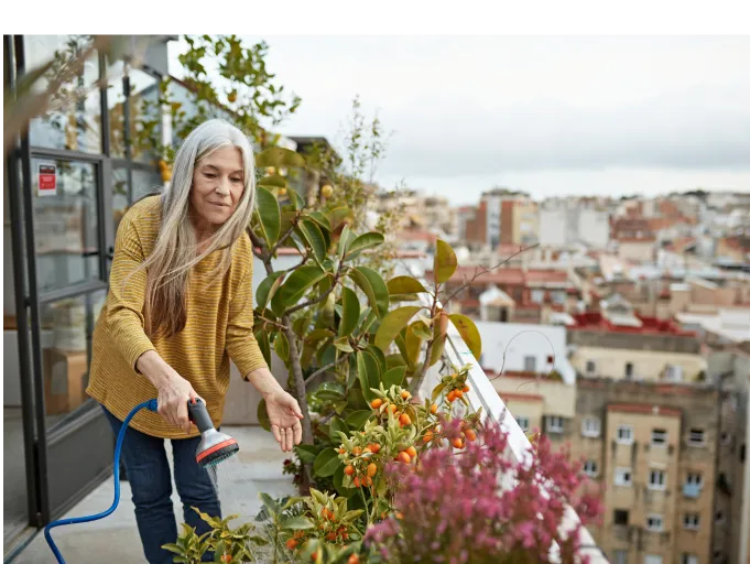 Solicite o seu orçamento gratuito